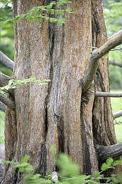 Switch 2 4月24日在美国开启预购 售价不变